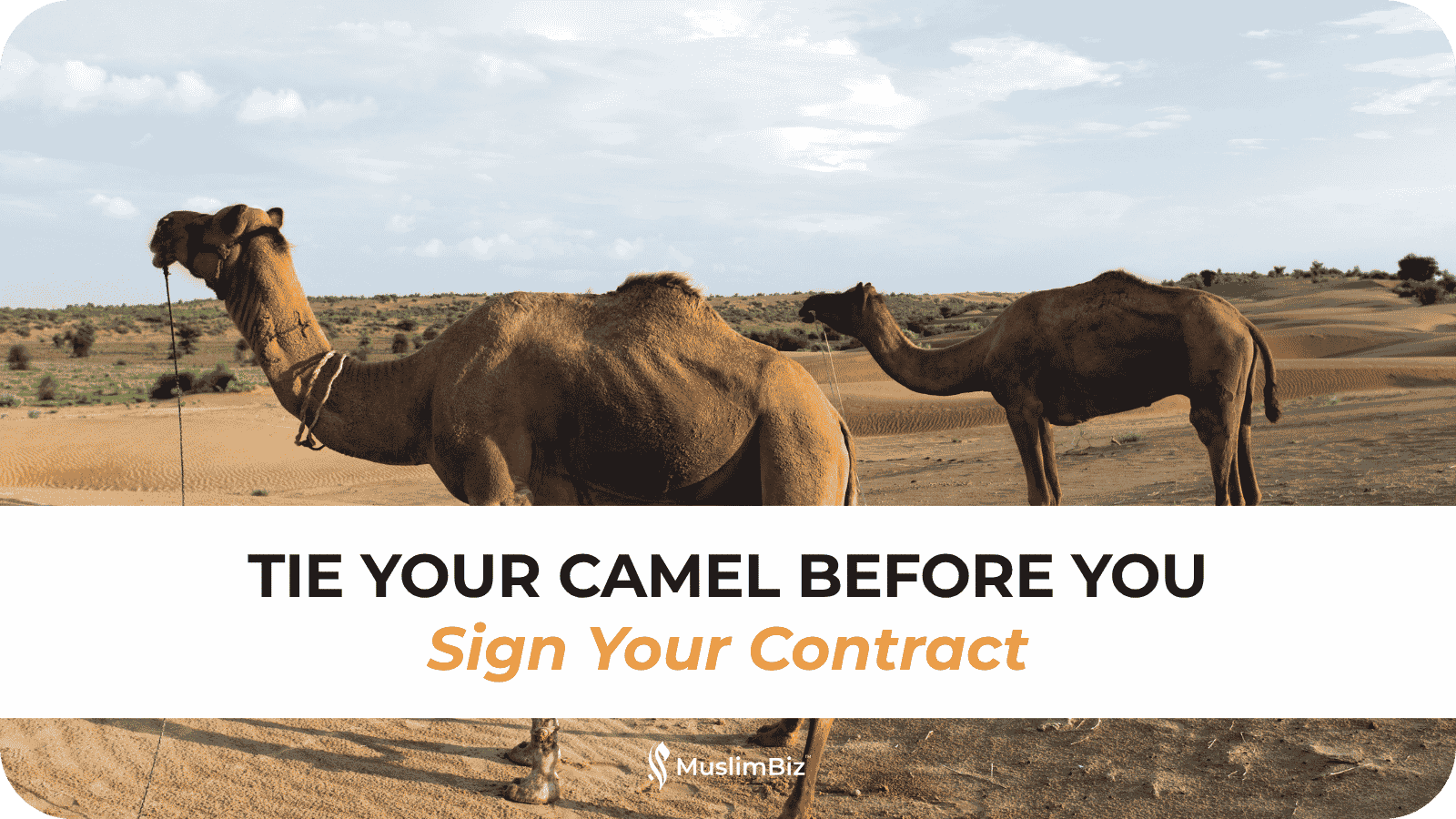 Tie Your Camel Before You Sign Your Contract